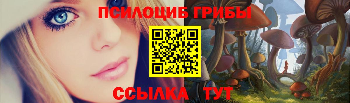 наркотики  Псилоцибиновые грибы мухоморы  Галлюциногенные грибы MAGIC MUSHROOMS  Вход с VPN  Шадринск 